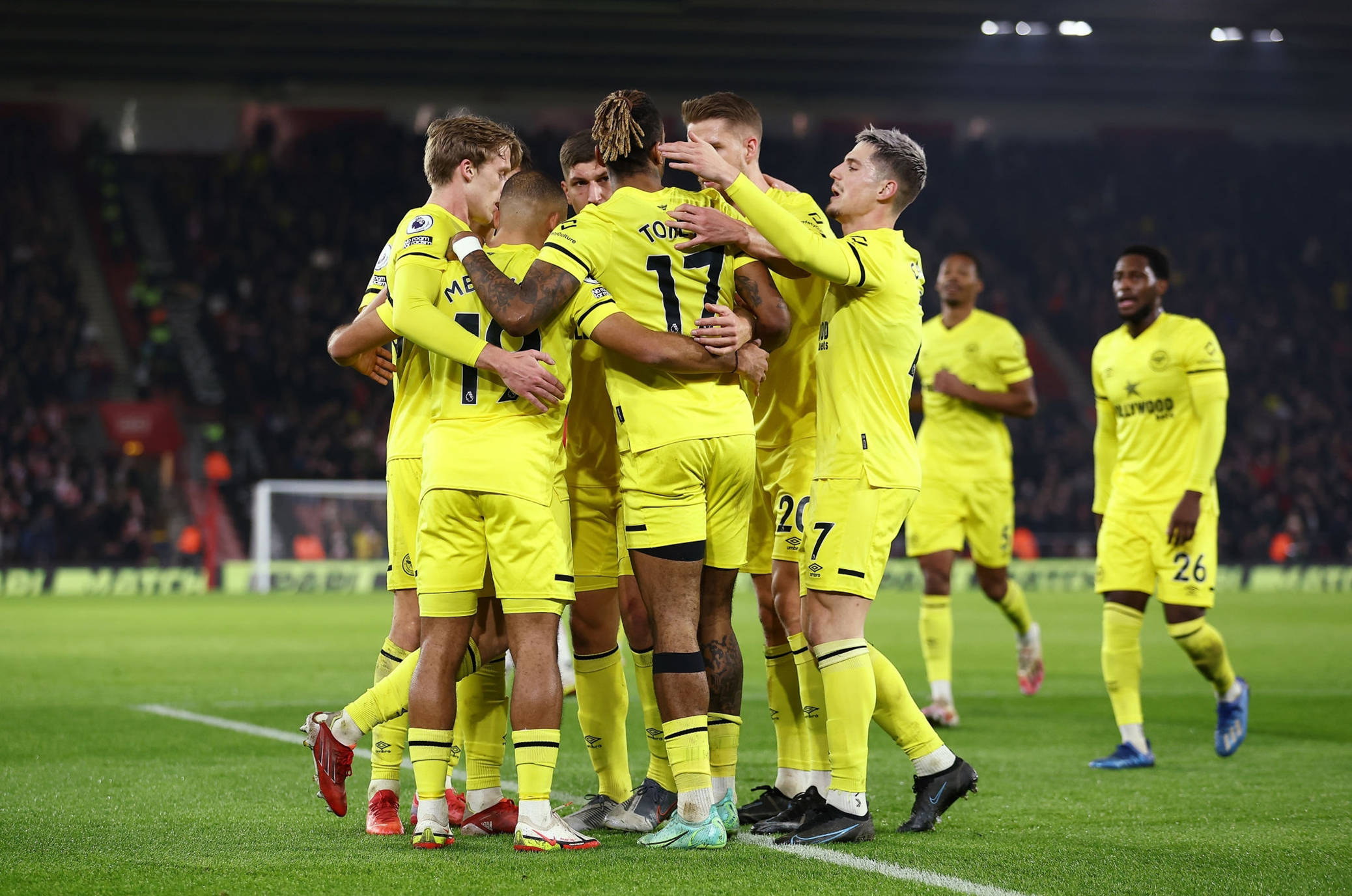 己的阵容和 己的阵容和